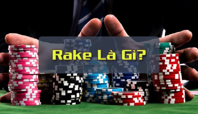 Rake là gì trong Poker? Cách nhà cái kiếm tiền từ Rake